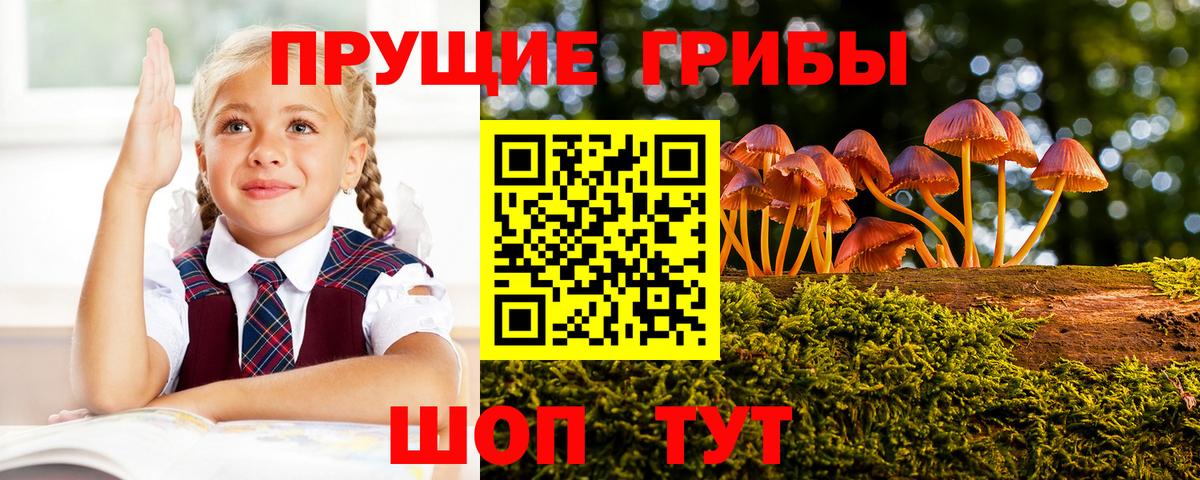 Краснодар  Галлюциногенные грибы мухоморы  Псилоцибиновые грибы Psilocybine cubensis  Вход с VPN 